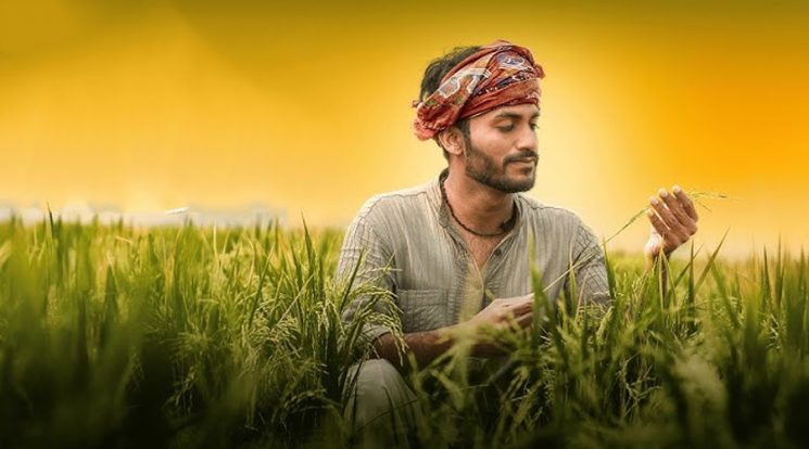 کاشتکاروں کیلئے خوشخبری، بلاسود قرضوں کی فراہمی کا اعلان