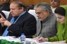 آزاد کشمیر انتخابات، مسلم لیگ (ن) کے 37 امیدواروں کی فہرست سامنے آگئی