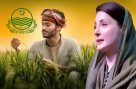 وزیراعلیٰ پنجاب کا کاشتکاروں کیلئے بڑے پیکج کا اعلان