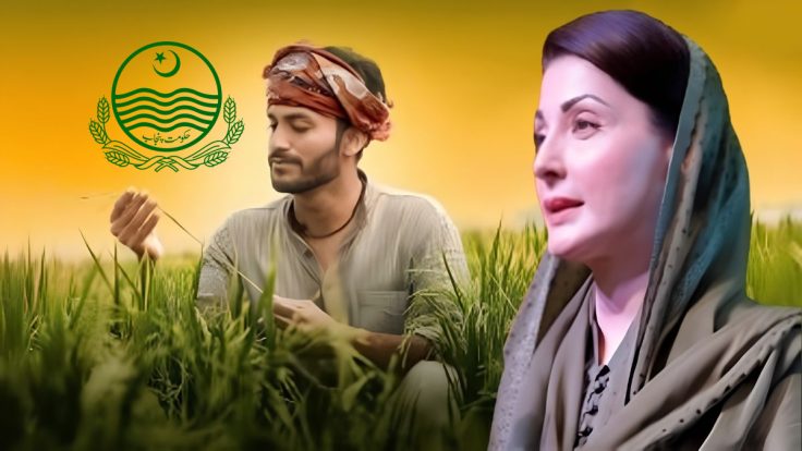 وزیراعلیٰ پنجاب کا کاشتکاروں کیلئے بڑے پیکج کا اعلان