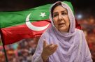 نورین نیازی کے خلاف گھیرا تنگ، مقدمہ درج