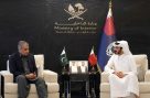 محسن نقوی کی قطری وزیر داخلہ سے ملاقات، اہم سفارتی پیش رفت
