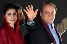 نواز شریف کو پنجاب میں اہم ذمہ داری سونپ دی گئی