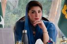 وزیر اعلیٰ پنجاب کا کشمیری عوام کے لیے اہم پیغام