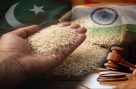 بھارت کے منہ پر ایک اور طمانچہ، باسمتی ٹریڈ مارک کیس میں پاکستان کی بڑی کامیابی