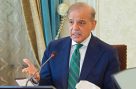 پمز سانحہ، وزیراعظم شہباز شریف نے بڑا فیصلہ سنا دیا