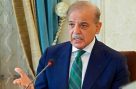 یوم استحصال کشمیر، وزیراعظم شہباز شریف کا خصوصی پیغام