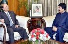 صدر زرداری سے گورنر پنجاب کی ملاقات، صوبے کے انتظامی امور پر اہم گفتگو