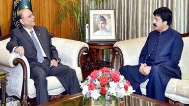 صدر زرداری سے گورنر پنجاب کی ملاقات، صوبے کے انتظامی امور پر اہم گفتگو