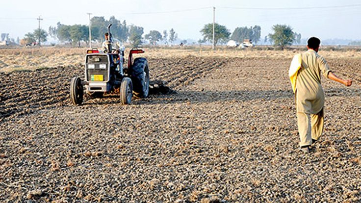 کسانوں کے لیے بڑی خوشخبری، گندم کی کاشت کے لیے سبسڈی اسکیم کا آغاز
