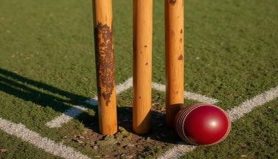 cricket